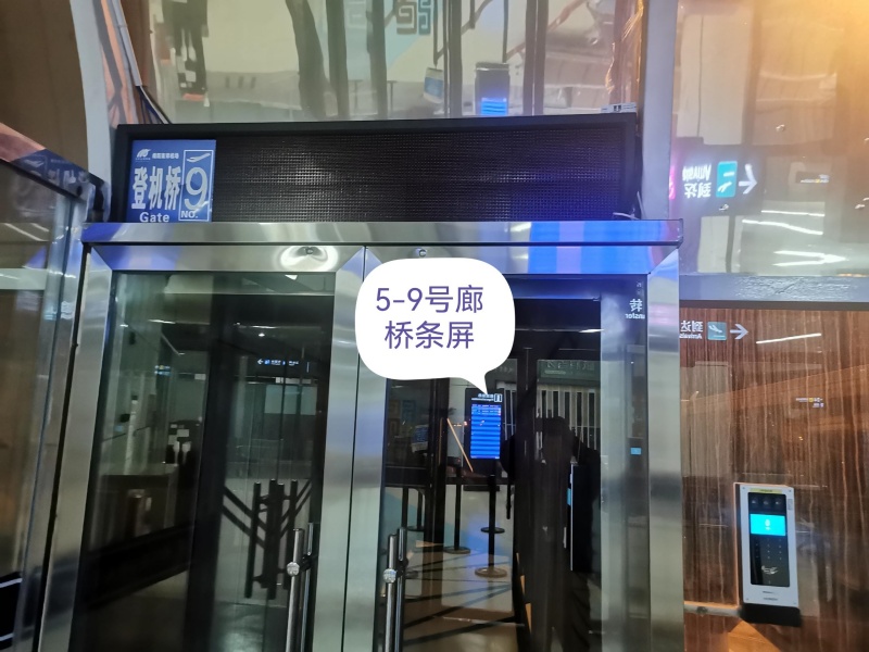 挂网6.jpg